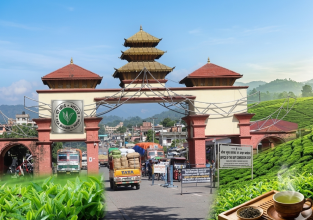 चिया निकासीमा फेरि अवरोध, भारतीय चिया बाेर्डले शतप्रतिशत परीक्षणको अड्को थापेपछि निर्यात ठप्प