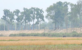 सीमा क्षेत्रमा भारतले बनायो अग्लो बाँध, गौर डुबानको जोखिममा