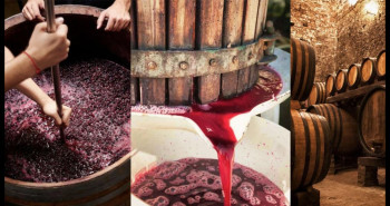 सन् २०२५ मा विश्वभर वाइन उत्पादन सुधार हुने