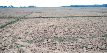 मधेसमा बढ्यो सुख्खा क्षेत्र, अध्ययनका लागि टोली परिचालन