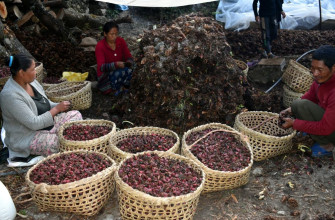 अलैँचीको भाउ तेब्बर बढ्यो