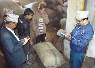 अलैँचीको मूल्य लगातार ओरालो, आज प्रतिमन ९२ हजारमा कारोबार