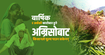 वार्षिक २ अर्ब करोबार हुने अम्रिसोबाट किसानले मूल्य पाउन सकेनन्
