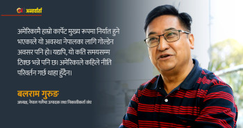 सरकार गलैंचा उद्योगीको पीडा सुन्छ, काम गर्दैन