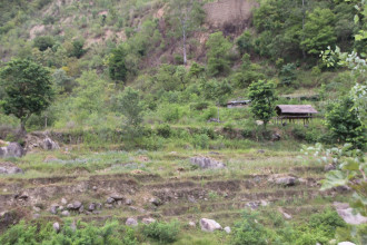 सिँचाइमा क्षति पुग्दा तीन बाली लाग्ने खेतबारी बाँझिए