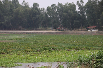 सामुदायिक वन समन्वय समितिको कार्ययोजनाः संरक्षणसँगै वैकल्पिक आयआर्जनमा जोड