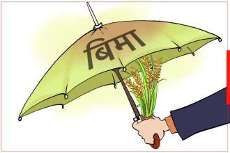 कृषि बिमा अनुदानमा अनुदार सरकार