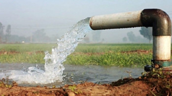चितवनमा एक वर्षमा ४८ ट्युबवेल निर्माण, ६० बिघासम्म सिँचाइ हुने 