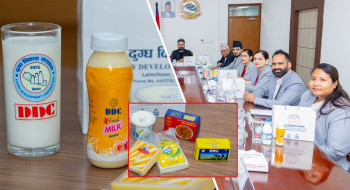 मन्त्रिपरिषद् बैठकमा डीडीसीको उत्पादन प्रवर्द्धनको एजेन्डामा छलफल