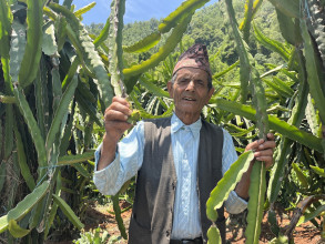 दुई छोरा काम खोज्दै बिदेसिए, ड्रागन फ्रुटबाट वार्षिक १० लाख कमाउँछन् बालकृष्ण
