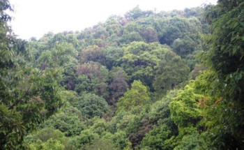 विकास आयोजनामा वर्षौं पुरानो बाधा हट्यो, अब जग्गाको बदला नगद तिरेर काम गर्न सकिने