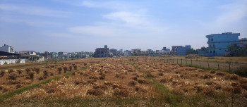 कैलालीका किसानलाई गहुँबाली भित्र्याउने चटारो