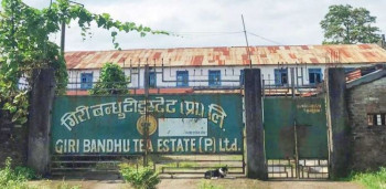 गिरीबन्धु टी स्टेट र नेपाल ट्रष्टको जग्गा अनियमितता प्रकरण छानबिन माग
