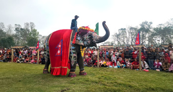 हात्ती महोत्सवको दुई दशकः चितवनको ब्रान्ड बन्यो, पर्यटक आगमन बढाउन सफल