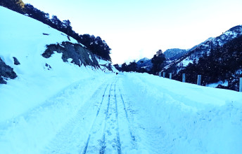 भारी हिमपातमा परी अलपत्र यात्रुको उद्धार