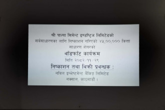 पाल्पा सिमेन्टको आईपीओ बाँडफाँट, साढे २३ लाख आवेदकमध्ये साढे ४ लाखले पाए सेयर