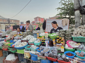 हिउँ पहाडबाट झरेर गर्मी तराईमा जडीबुटी व्यवसाय, दैनिक आम्दानी १० हजार