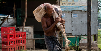 भाइले मृतक दिदीको पैसा निकाल्न बैंकमै कंकाल लिएर गएपछि...