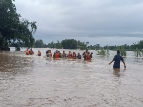 झापामा बाढीको कहर: चार करोड बराबरको क्षति