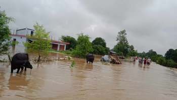 कैलालीमा वादी समुदायका घर डुबानमा पर्दा विचल्ली