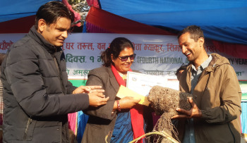 पोखरामा कन्दमूल प्रदर्शनी, एकै ठाउँ घर तरुलदेखि वन तरुलसम्मका २५ थरी कन्दमूल