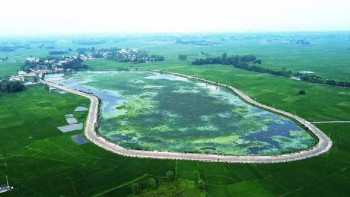 अफ्रिकनदेखि साइबेरियन चरासम्म हुरुक्कै हुने कान्ति ताल