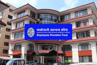 कर्मचारी सञ्चय कोषलाई प्राइभेट इक्विटी र भेन्चर क्यापिटलमा लगानीको बाटो खोल्ने तयारी