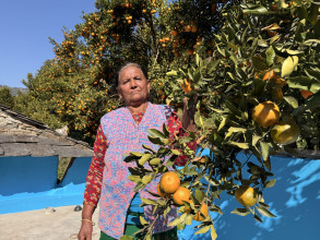 एकल महिलाको लोभलाग्दो सफलता: सुन्तलाको आम्दानीले ठडियो पक्की घर
