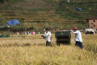 राष्ट्र बैंकद्वारा बागमती प्रदेशको आर्थिक प्रतिवदन सार्वजनिक, वर्षाले कृषि उत्पादनमा गिरावट