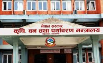 मानव–वन्यजन्तु द्वन्द्व अन्त्य गर्न  ‘टास्क फोर्स’ गठन