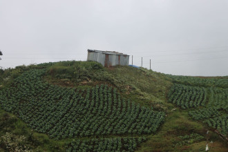 सडकले ओझेल परेको शैलुङका किसानको लोभलाग्दो प्रगति 