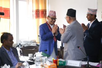 अर्थ समिति सभापतिमा कृष्णहरि बुढाथोकी निर्वाचित