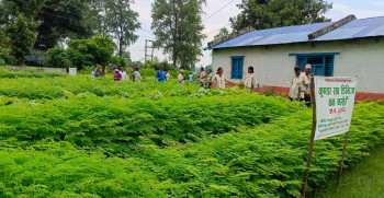 चाडपर्वमा वन सुरक्षा गर्न द्रुत प्रतिकार्य टोली परिचालन