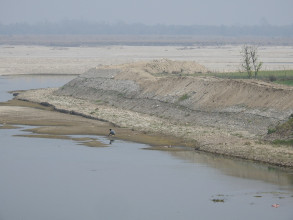 तटबन्ध निर्माणपछि सुरक्षित बन्यो कुतियाकवर, बस्तीमा बाढीको त्रास हट्यो