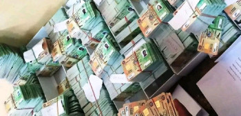 छापिए १ हजार ६७३ सवारी लाइसेन्स