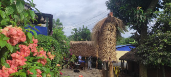 तनहुँमा मकै उत्पादन वृद्धि, गत वर्षभन्दा ६ हजार टनले बढ्यो