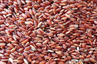 जुम्लाबाट तीन करोडको मार्सी चामल बिक्री