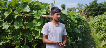 कैलालीका नारायणकाे लाेभलाग्दाे तरकारी खेती, सागसब्जी बेचेरै मासिक दुई लाख बचत