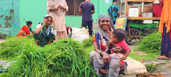 नेपालगन्ज सहर : टाँगा चल्न छाड्यो, घाँस पनि बिक्री हुन छाड्यो