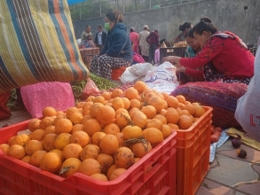 सिजनमा प्रतिकेजी ६० मा नबिकेको सुन्तला दुई महिनापछि २०० रुपैयाँमा बिक्री