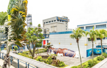 बिक्री बढे पनि टाइगर्स ब्रुअरीमा वित्तीय दबाब निरन्तर, कार्यशील पुँजी अभाव