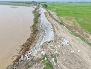 राप्ती नदीमा आपत्कालीन तटबन्ध निर्माण