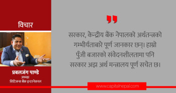 बैंकर र व्यवसायी छुट्याइए बैंकिङ क्षेत्र राजनीतिक हस्तक्षेपको सिकार हुने खतरा