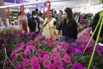 उपत्यकामा तिहार लक्षित दुई पुष्प मेला, उपभोक्ताले पाउँछन् छनौटको अवसर