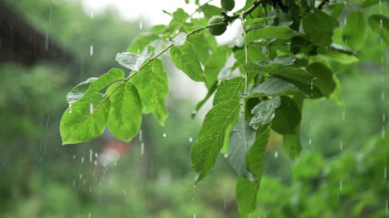 आगामी तीन दिन देशभरि पानी पर्ने