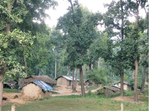 रौतहटमा ३१९० हेक्टर वन क्षेत्र अतिक्रमण, अतिक्रमित क्षेत्र हटाउने तयारी