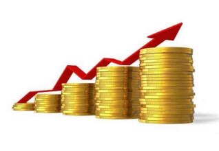 नेपालमा २७ देखि ४६ वर्ष उमेर समूहका व्यक्तिको औसत खर्चभन्दा आम्दानी बढी