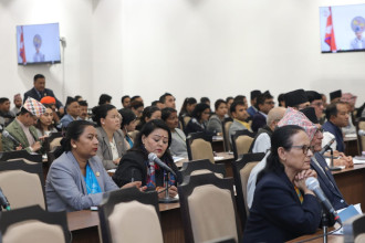 प्रतिनिधिसभा बैठक : कृषिदेखि भौतिक पूर्वाधारका विषयमा सांसदहरूले गराए सरकारको ध्यानाकर्षण