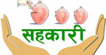 झापाका ठूला सहकारीमा पर्याप्त तरलता, सानामा छैन