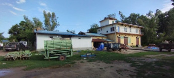 १०० हेक्टरमा धानको बीउ उत्पादन गर्दै सहकारी